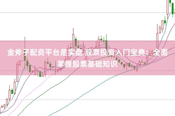 金斧子配资平台是实盘 股票投资入门宝典：全面掌握股票基础知识