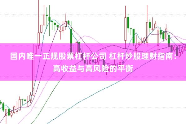 国内唯一正规股票杠杆公司 杠杆炒股理财指南:高收益与高风险的平衡