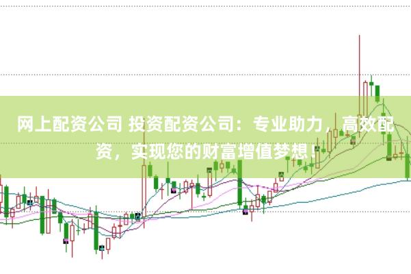 网上配资公司 投资配资公司：专业助力，高效配资，实现您的财富增值梦想！