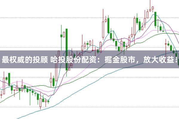 最权威的投顾 哈投股份配资：掘金股市，放大收益！
