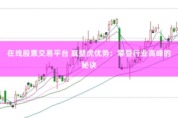 在线股票交易平台 赢壁虎优势：攀登行业高峰的秘诀