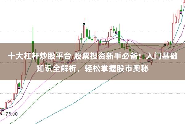 十大杠杆炒股平台 股票投资新手必备：入门基础知识全解析，轻松掌握股市奥秘