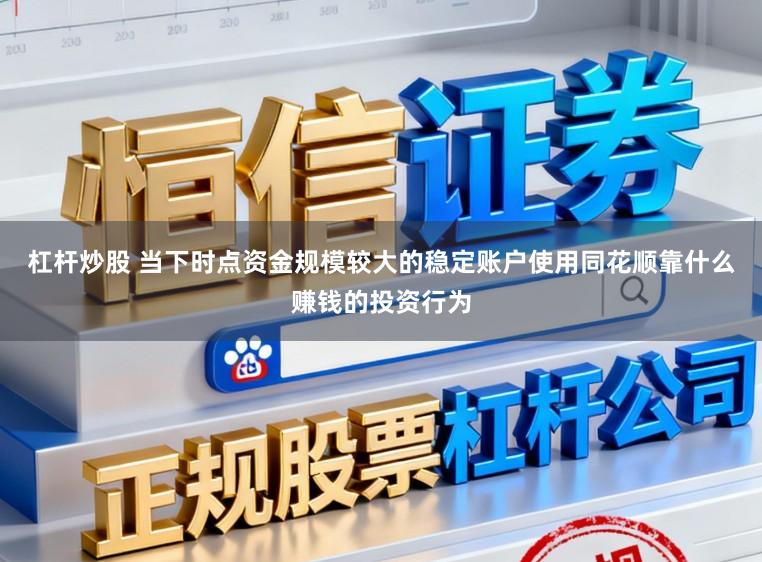 杠杆炒股 当下时点资金规模较大的稳定账户使用同花顺靠什么赚钱的投资行为