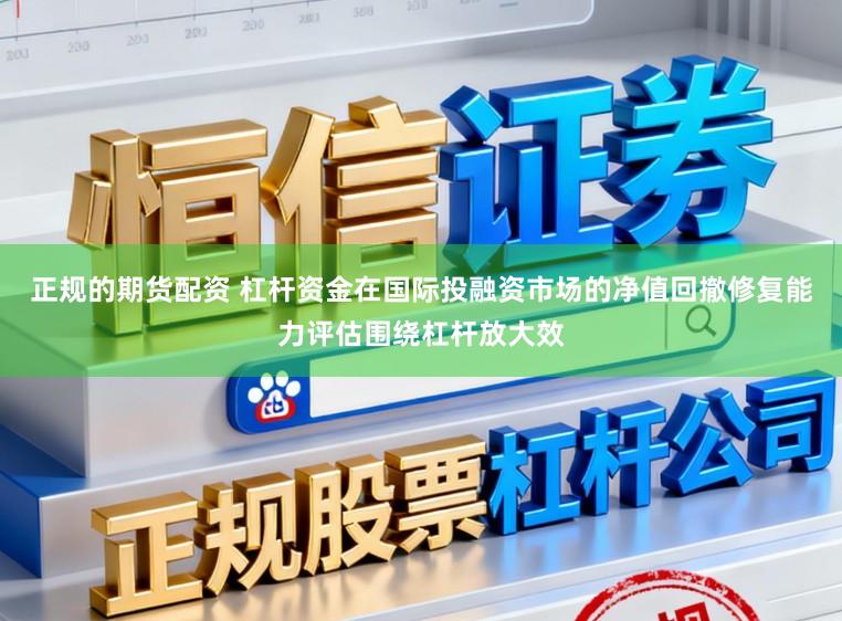 正规的期货配资 杠杆资金在国际投融资市场的净值回撤修复能力评估围绕杠杆放大效