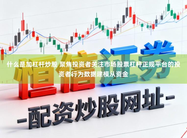 什么是加杠杆炒股 聚焦投资者关注市场股票杠杆正规平台的投资者行为数据建模从资金